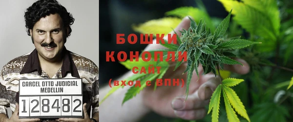 первитин Михайлов