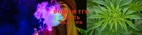 МДПВ Мегион