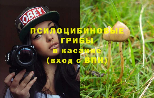 гидропоника Михайловка