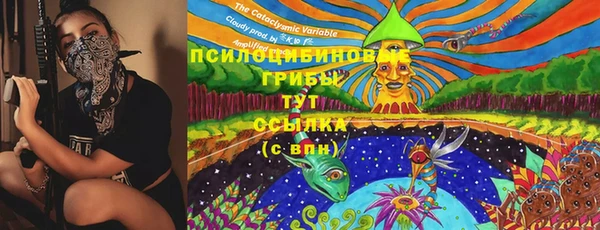 гидропоника Михайловка