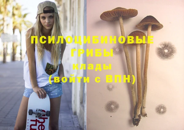 PSILOCYBIN Медвежьегорск